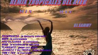 REMIX TROPICALES DEL AYER MIX DJ SAMMY [upl. by Assecnirp5]