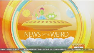 News Of The Weird [upl. by Chiaki]