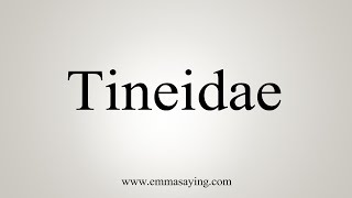 How To Say Tineidae [upl. by Esom109]