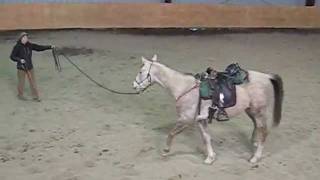 Flurry Lunging Parelli style 3 yr old gelding [upl. by Trilbie]