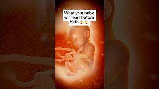 🤯🤯What Your Baby Already Knows By Birth [upl. by Walter]