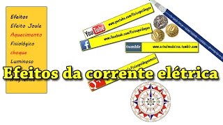 Efeitos da Corrente Elétrica [upl. by Ylnevaeh]