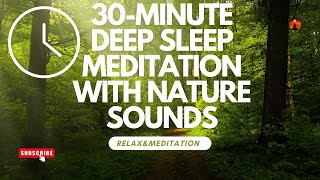 30Minute Deep Sleep Meditation with Nature Sounds [upl. by Brownley79]