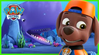 Patrulha Marítima Os Cães Salvam Uma Baleia Agitada  PAW Patrol Episódio Português  Pup Tales [upl. by Diego]