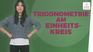 Trigonometrie anschaulich erklärt I musstewissen Mathe [upl. by Arriaes]