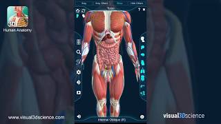 Human Anatomy App [upl. by Japeth875]