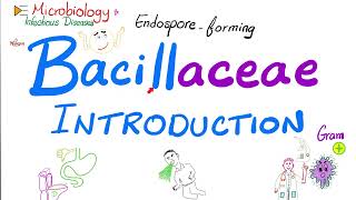 Introduction to Bacillaceae Bacillus anthracis and Bacillus cereus  Microbiology 🧫 [upl. by Aliakam]