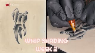 Back To Basics  Shading Tutorial  Week 2  Whip Shading [upl. by Ikim658]