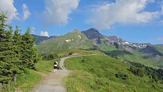 Eiger Ultra Trail 51k after the first climb to Grosse Scheidegg [upl. by Darelle]