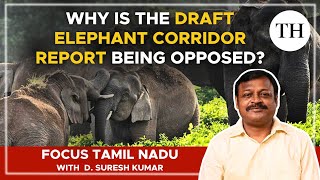 Why is the Draft Elephant Corridor Report being opposed [upl. by Leland]