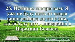 ВидеоБиблия Евангелие от Марка без музыки глава 14 читает Бондаренко [upl. by Neille331]