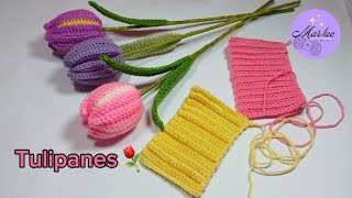 tulipanes dos colores🌷tejidos a crochet⚘️fácil y sencillo de hacer ⚘️🫶tejidosacrochet crochet [upl. by Polish]