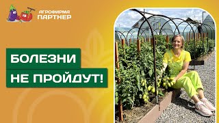 КАК ЗАЩИТИТЬ РАСТЕНИЯ ОТ БОЛЕЗНЕЙ [upl. by Wachtel]