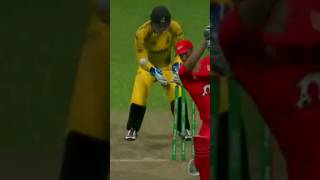 stump flying cricket viratkohli CRICKETLOVER CRICKET SHORTS bolwing punjabi punjabisong [upl. by Llirrem]