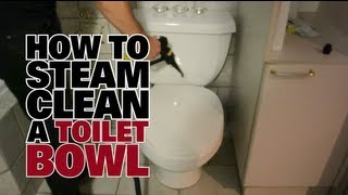 How To Steam Clean A Toilet Bowl  Dupray Steam Cleaners [upl. by Darooge885]