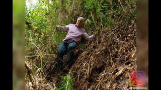 Enrique Peñalosa se perdió en los cerros orientales durante 8 horas  Noticias Caracol [upl. by Mercuri]