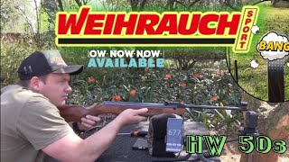 Weihrauch HW50S 45MM eating JSB knock out slugs in 177 [upl. by Maddeu]