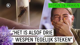 EMMA WORDT GESTOKEN DOOR EEN HOORNAAR  Steken en Prikken 8  NPO Zapp [upl. by Donough204]