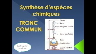 synthèse despèces chimiques TRC [upl. by Enileqcaj527]