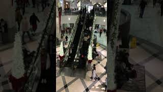 lenox mall store stores shop shopping shoppingmall shopnow youtubeshorts youtube 2024 yt [upl. by Aramad]