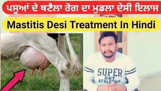 Mastitis desi Treatment। ਥਨੈਲਾ ਰੋਗ ਦਾ ਦੇਸੀ ਇਲਾਜ। गाय भैंस में थनैला रोग का देसी इलाज [upl. by Abernon]