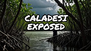 MR RVA EXPLORES  Caladesi Island [upl. by Lynde]