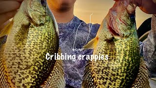 Cribbing crappies [upl. by Beyer]