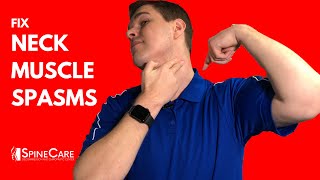 How to Treat Neck Spasms in 1 MINUTE [upl. by Litch]