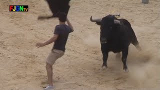 4 Toros Festa la Vila 2012  La Vilavella Castellon Bous al carrer Toros FJGNtv [upl. by Motch]