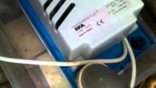 How to check Condensate pump Sanicondensplus [upl. by Pump805]