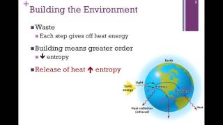 081Overview of Metabolism [upl. by Lerim]