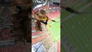 Highest Rope Swing Drop 😳 atlantafalcons [upl. by Ardnasil]