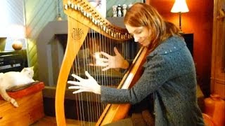 Etrezek al lein  Gwenael Kerleo  Harpe Celtique  Celtic Harp  Bretagne [upl. by Beera970]