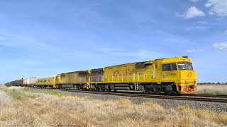 Aurizon 5MP1  TGE Container Train With ACD6055 Featuring First Nations Mural 19102023  PoathTV [upl. by Eelymmij861]