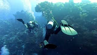 Cozumel Diving  Colombia Deep [upl. by Shifra]