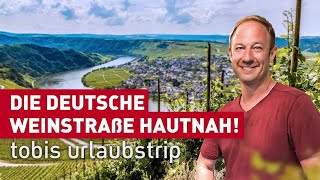 Die Deutsche Weinstraße hautnah  Tobis Urlaubstrip  erlebnis hessen  doku  reisen [upl. by Morse]