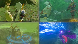 Zelda Breath of the Wild  All 42 Shrine Quests [upl. by Caron709]