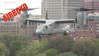 Boeing V22 Osprey Landing On Boston Commons [upl. by Esilehc987]