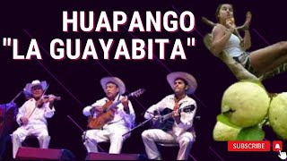 HUAPANGO quotLA GUAYABITAquot [upl. by Notrem]