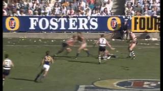 1992 AFL Grand Final West Coast vs Geelong [upl. by Caz766]