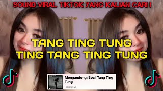 TANG TING TUNG LAGU VIRAL TIKTOK 2024 [upl. by Jeff]