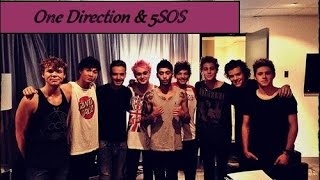 One Direction amp 5 Seconds Of Summer 5SOS [upl. by Malkin696]