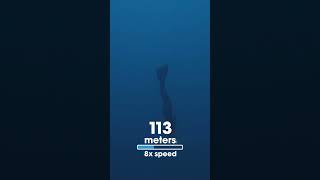 The Deepest Dive in History 133 meters CWT by Alexey Molchanov [upl. by Milano]