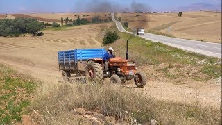 Fiat 640 45 Ton Arpa Yüklü Rampada [upl. by Aspasia946]