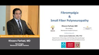 Fibromyalgia amp Small Fiber Polyneuropathy Full Lecture  Khosro Farhad MD [upl. by Eremihc]