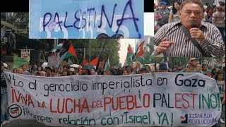 Apoyo al pueblo Palestino Marcha del 15 de mayo de 2024 interrumpida por actos de violencia [upl. by Kim]