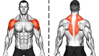 The Best Shoulder and Back Exercises At Home [upl. by Ahsinrad]