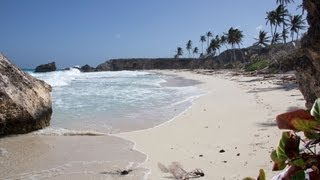 Beaches of Barbados [upl. by Buroker]