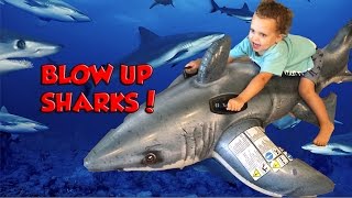 Shark Toy Review  Blowing Up Shark Floaties  Family Fun [upl. by Ehgit]