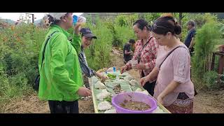 Chhun chaw Champhai leilet sangha hmehin [upl. by Blunk]